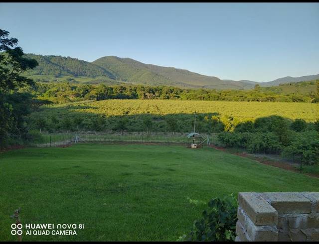 29HA FARM FOR SALE IN LEVUBU